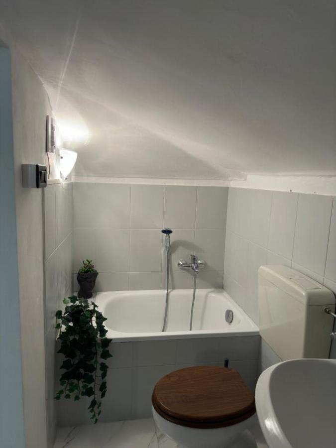 Apartment Verdesera Idromassaggio, Netflix, Wifi A Porta Susa *